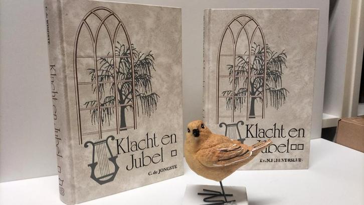 Jongste, C. de/ Ds. Beversluis; Klacht en jubel (2 delen), Boeken, Godsdienst en Theologie, Gelezen, Christendom | Protestants