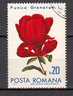 Romana Roemenie bloem rode bloem, Postzegels en Munten, Postzegels | Europa | Overig, Verzenden, Overige landen, Gestempeld