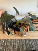 Grote groene kamerplant met pot, Ophalen, Zo goed als nieuw