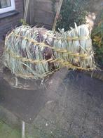 eenden korven, Ophalen of Verzenden, Nieuw, Kooi-accessoires
