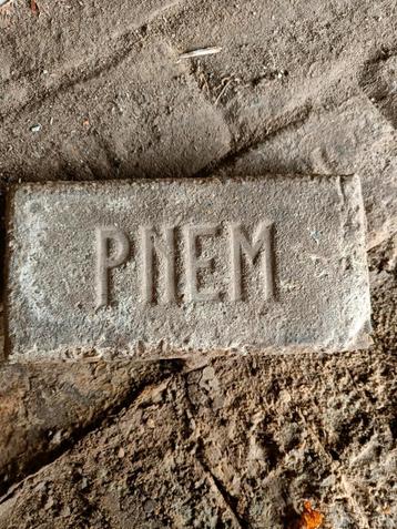 PNEM klinkers - ong 250 stuks + beschikbaar voor biedingen