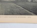 Lichtdruk Java, Nederlands Indië ca. 1910, Verzamelen, Ophalen of Verzenden
