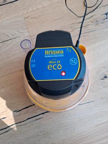 Broedmachine Brinsea mini 2 eco beschikbaar voor biedingen