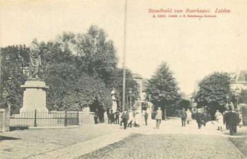 (388-223-029) Leiden Standbeeld van Boerhaave beschikbaar voor biedingen