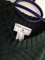 HelloGoodbye Zgan Rick Cardona trui mt 40, Kleding | Dames, Ophalen of Verzenden, Zo goed als nieuw, Maat 38/40 (M), Groen