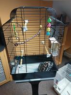 Mooie vogel -  of  klein knaagdier kooi, Ophalen of Verzenden, Zo goed als nieuw, Metaal, Vogelkooi