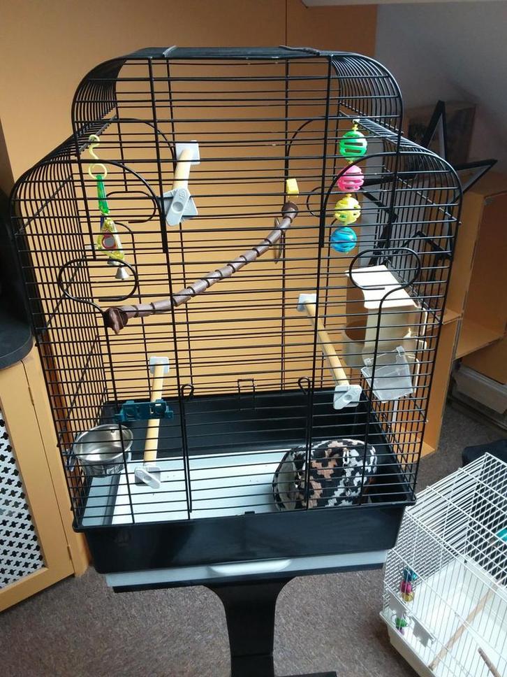 Mooie vogel -  of  klein knaagdier kooi, Dieren en Toebehoren, Vogels | Hokken en Kooien, Zo goed als nieuw, Vogelkooi, Metaal