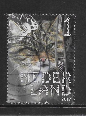 2019, Zoogdieren, Wilde Kat [3711] (K1105) beschikbaar voor biedingen