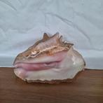 Grote roze schelp, Verzamelen, Mineralen en Fossielen, Ophalen, Schelp(en)