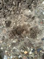 15 grindtegels 50x50 gratis ophalen, Tuin en Terras, Ophalen of Verzenden, Tuinaarde