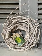 Twijgen tak Intratuin - decoratie, Huis en Inrichting, Woonaccessoires | Kunstplanten en Kunstbloemen, Ophalen of Verzenden, Nieuw