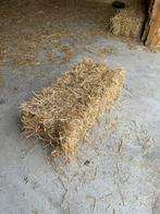 Kleine stro balen, Dieren en Toebehoren, Dierenvoeding, Ophalen, Overige soorten