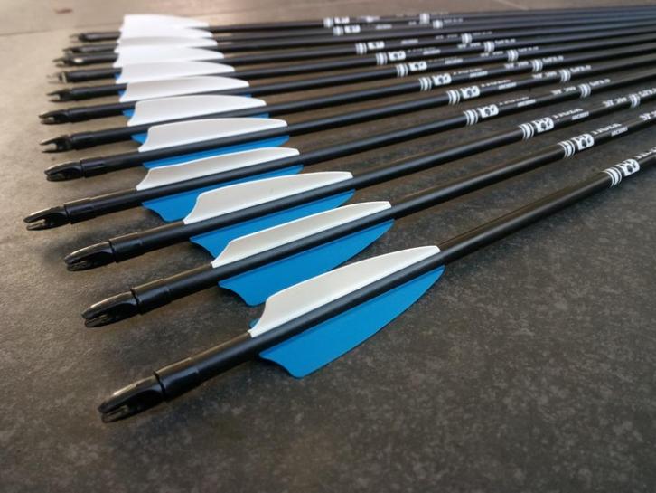 Pijlen voor boog (Met vervangbare punt) 12 stuks, Sport en Fitness, Handboogschieten, Nieuw, Pijlen, Ophalen of Verzenden