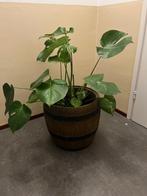 retro vintage mid century ton vat bak pot plantenpot, Ophalen, Huis en Inrichting