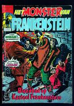 strip Het Monster van Frankenstein, Europa, Ophalen of Verzenden, Gary Friedrich, Gelezen