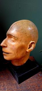 Anatomisch model, plaster hoofd, kop, anatomie, Ophalen of Verzenden, Gebruikt