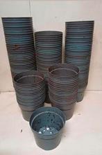 Kweekpotten plantenpotten bloempotten 2 liter, Tuin en Terras, Bloempotten, Kunststof, Gebruikt, Info@krimpen.nl, Molenstraat 42
4758 AB Standdaarbuiten
Nederland