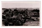 Kolhorn. Fotokaart Panorama van het Dorp., Ophalen of Verzenden, 1920 tot 1940, Ongelopen, Noord-Holland