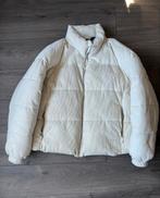 Puffer Winterjas Bershka - XL, Ophalen of Verzenden, Zo goed als nieuw, Maat 56/58 (XL)