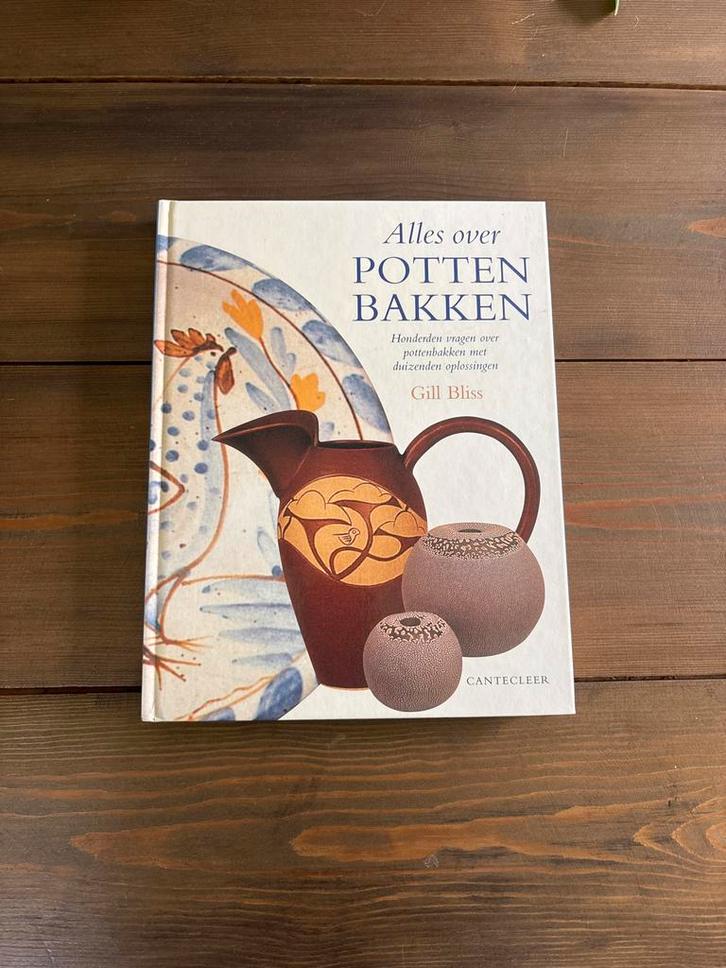 Alles over Pottenbakken - Gill Bliss, Boeken, Hobby en Vrije tijd, Gelezen, Kleien en Boetseren, Ophalen of Verzenden