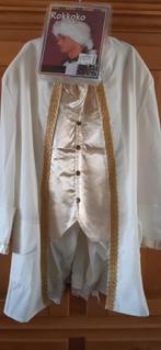 carnavalskleding, Ophalen of Verzenden, Gedragen, Maat 46/48 (XL) of groter, Carnaval