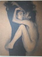 Photographs ANNIE LEIBOVITZ 1970-1990, Boeken, Ophalen of Verzenden, Annie Leibovitz, Gelezen, Fotografen