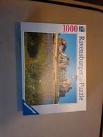 Leuke puzzel, Ophalen of Verzenden, 500 t/m 1500 stukjes, Zo goed als nieuw, Legpuzzel