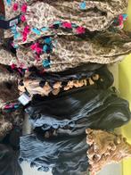 Partij dames sjaals – nieuw met label – 1,80 m – hele part, Kleding | Dames, Mutsen, Sjaals en Handschoenen, Elena tass, Ophalen of Verzenden