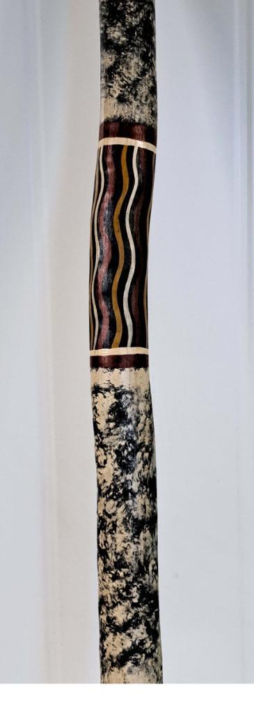 ECHTE Aboriginal Australische didgeridoo,  blaasinstrument, Muziek en Instrumenten, Blaasinstrumenten | Trompetten, Gebruikt, Overige typen