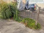 Antieke tuinhekken met sluithekje, Tuin en Terras, Ophalen, Met poort, Gebruikt, Sierhekwerk