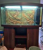 Aquarium 120cm te koop! (Moet weg!), Ophalen, Gebruikt
