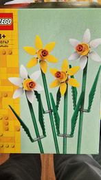 LEGO 40747 Narcissen, Ophalen of Verzenden