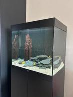 Lido 200, Ophalen, Zo goed als nieuw, Gevuld zoetwateraquarium