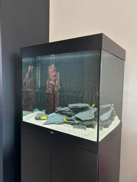 Lido 200, Dieren en Toebehoren, Vissen | Aquaria en Toebehoren, Zo goed als nieuw, Gevuld zoetwateraquarium, Ophalen