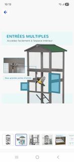 Nieuwe vogel volière, Dieren en Toebehoren, Vogels | Parkieten en Papegaaien, Meerdere dieren, Parkiet, Pratend