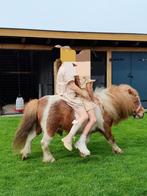 De allerliefste kinderpony..., Dieren en Toebehoren, Pony's, Hengst, A pony (tot 1.17m), Recreatiepony, Gechipt