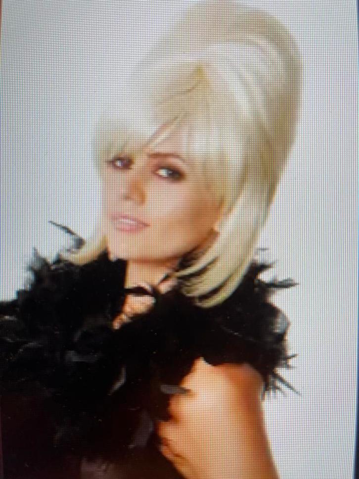 Nieuwe Beehive Pruik - Jaren 60 Stijl, Kleding | Dames, Carnavalskleding en Feestkleding, Nieuw, Accessoires, Carnaval, Maat 38/40 (M)