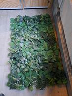 Achter wand van bladeren, Ophalen, Gebruikt, Kooi-accessoires