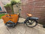 Babboe Curve-E bakfiets, 4 kinderen of meer, Gebruikt, Elektrisch, Ophalen