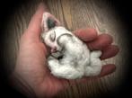 Uitverkoop Poes Kitten Kat slaapt teddybeer beer handgemaakt, Verzenden, Nieuw, Stoffen beer, Overige merken