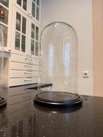Glazen stolp zo goed als nieuw, Ophalen of Verzenden, Zo goed als nieuw