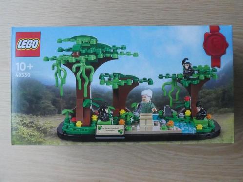 LEGO 40530 Jane Goodall Tribute, Kinderen en Baby's, Speelgoed | Duplo en Lego, Nieuw, Lego, Complete set, Ophalen of Verzenden