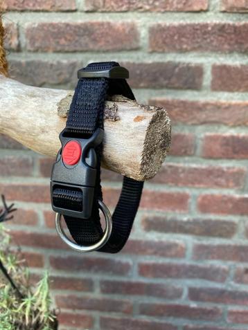 Beeztees hondenhalsband Parinca Premium zwart 40-45 x 2 cm beschikbaar voor biedingen