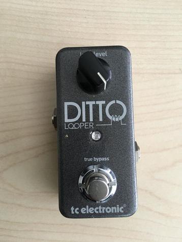 TC Electronic DITTO Looper beschikbaar voor biedingen