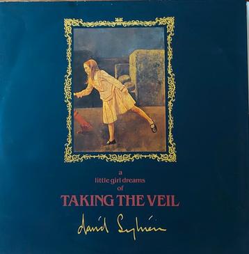 David Sylvian - Taking the Veil