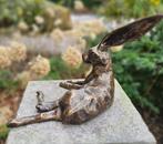 HAAS / bronzen beeld / tuinbeeld, Tuin en Terras, Dierenbeeld, Nieuw, Info@huisentuindecoratiemarie.nl, Huis en tuin decoratie marie