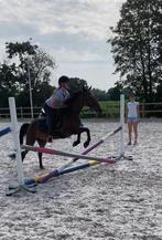 Verzorg pony gezocht, Ophalen of Verzenden, Zo goed als nieuw
