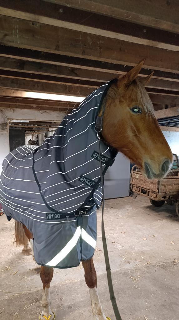 Amigo Bravo 12 Reflective Plus 100g 6.6/145, Dieren en Toebehoren, Paarden en Pony's | Dekens en Dekjes, Ophalen of Verzenden