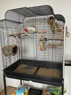 2 handtamme grasparkieten + verrijdbare kooi + accessoires, Dieren en Toebehoren, Vogels | Hokken en Kooien, Ophalen, Zo goed als nieuw