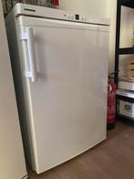 Liebherr vriezer wit 55x85x61cm, Witgoed en Apparatuur, Vriezers en Diepvrieskisten, Gebruikt, Minder dan 60 cm, Vrijstaand, Ophalen